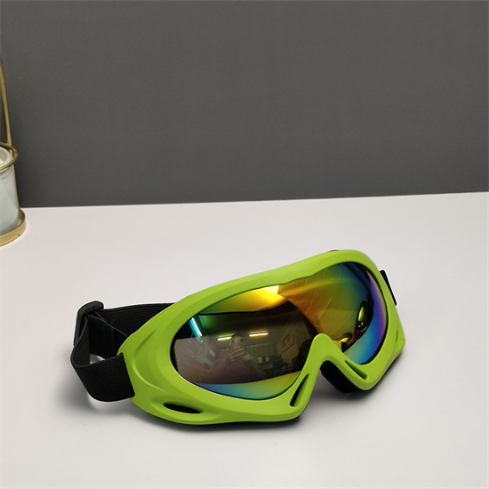Oakley Ski Goggles 023